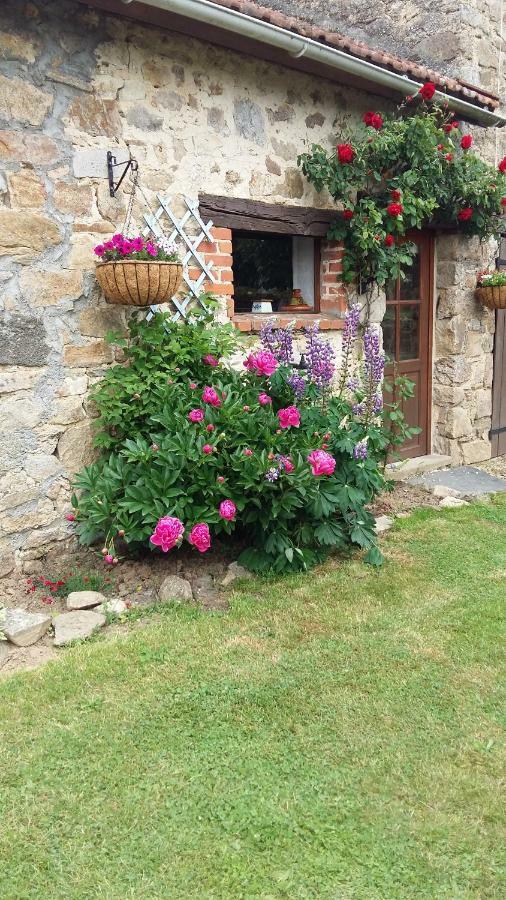 Le Cosy Villa Saint-Yrieix-la-Perche Exterior foto